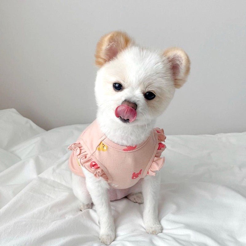 Close-up of soft velvet pet vest, showing detailed rabbit design and quality fabric.