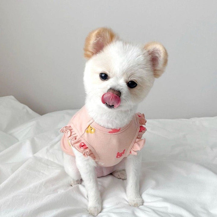 Close-up of soft velvet pet vest, showing detailed rabbit design and quality fabric.
