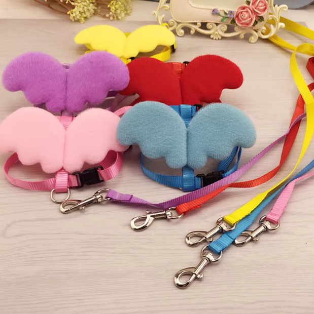 High-quality pet harness with angel wings, a perfect walking accessory for small pet owners.