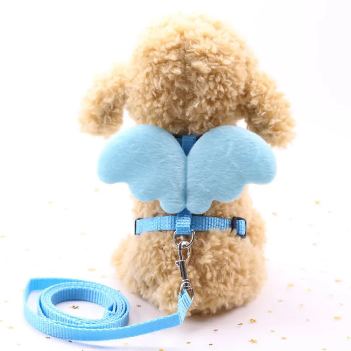 Pet harness with detachable angel wings for easy cleaning, ideal for small dog walking accessory.