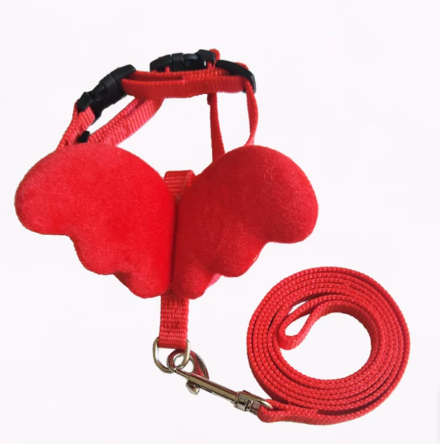 Comfortable pet harness with breathable mesh and angel wings design, perfect for daily pet walks.