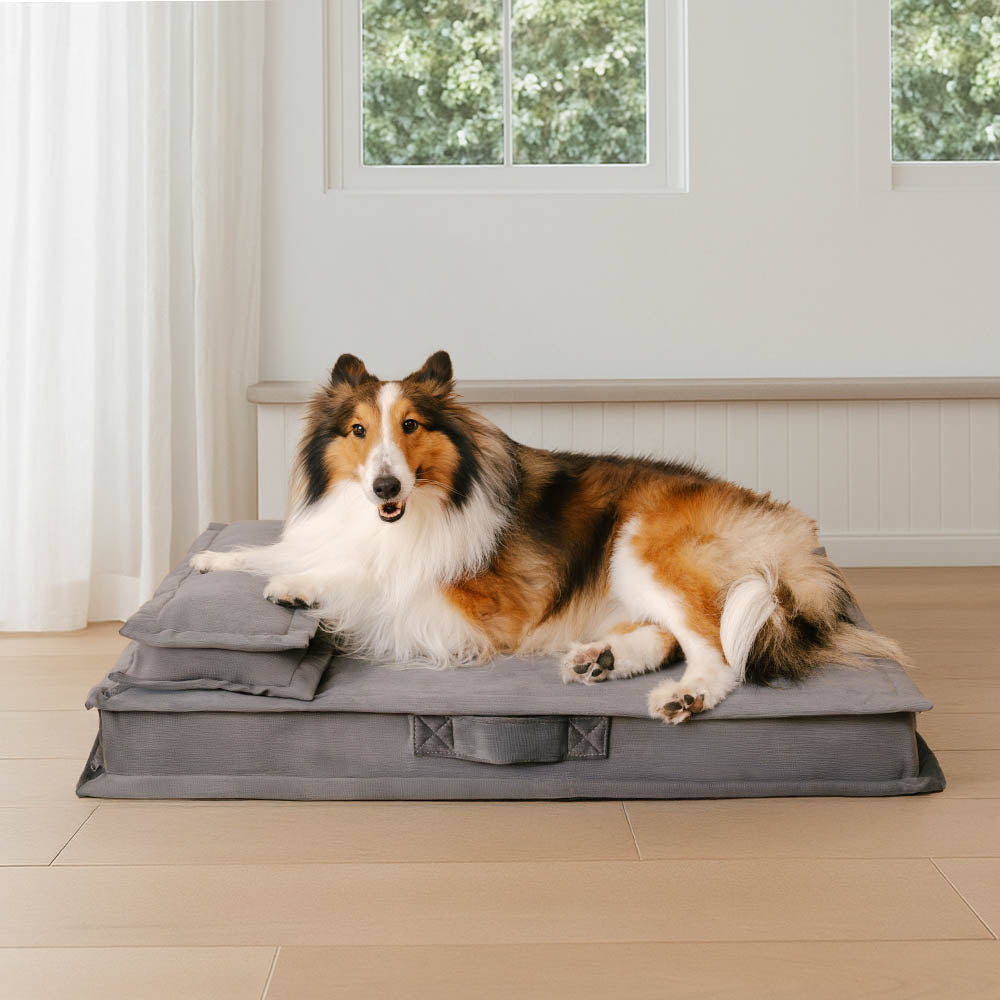 Anti-anxiety large dog bed, deep sleep, supportive orthopedic foam, washable.