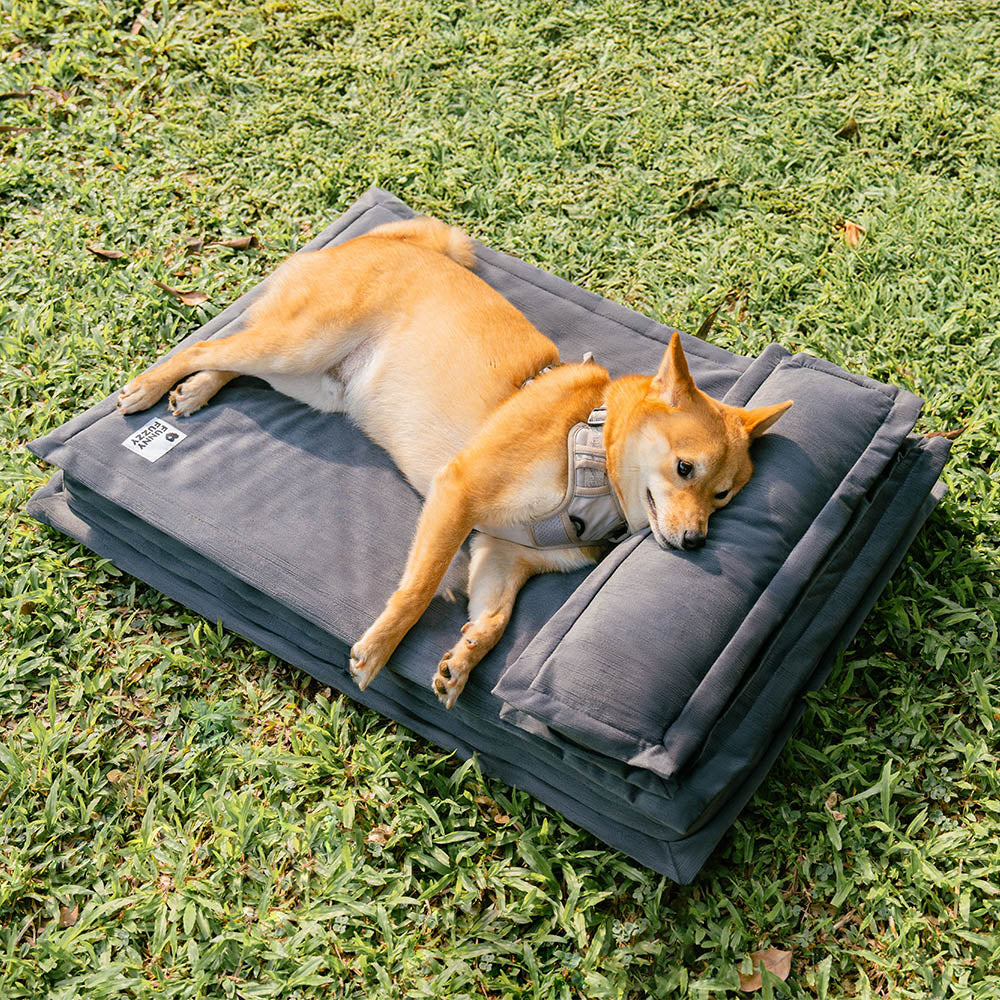 Plush pet calming bed, deep sleep and orthopedic support for reduced anxiety.