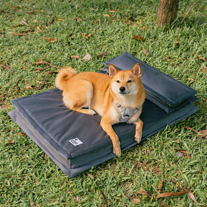Washable anti-anxiety dog bed, deep sleep, orthopedic comfort for senior pets.