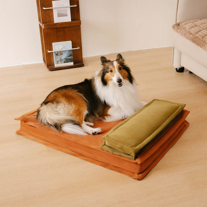 Deep sleep dog bed with elevated rim, orthopedic support, perfect for pet anxiety.