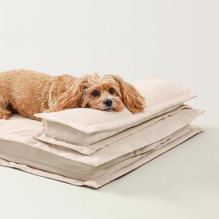Comfortable deep sleep dog bed, orthopedic support for pain relief and anxiety.