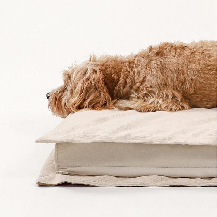 Round dog bed with orthopedic support, deep sleep design, perfect for puppies.