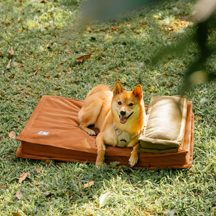Washable orthopedic dog bed, deep sleep design for anxiety relief, premium pet comfort.
