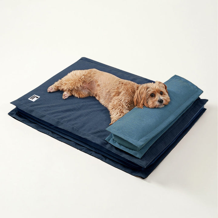 Orthopedic deep sleep dog bed, plush washable cover, supreme comfort for pets.