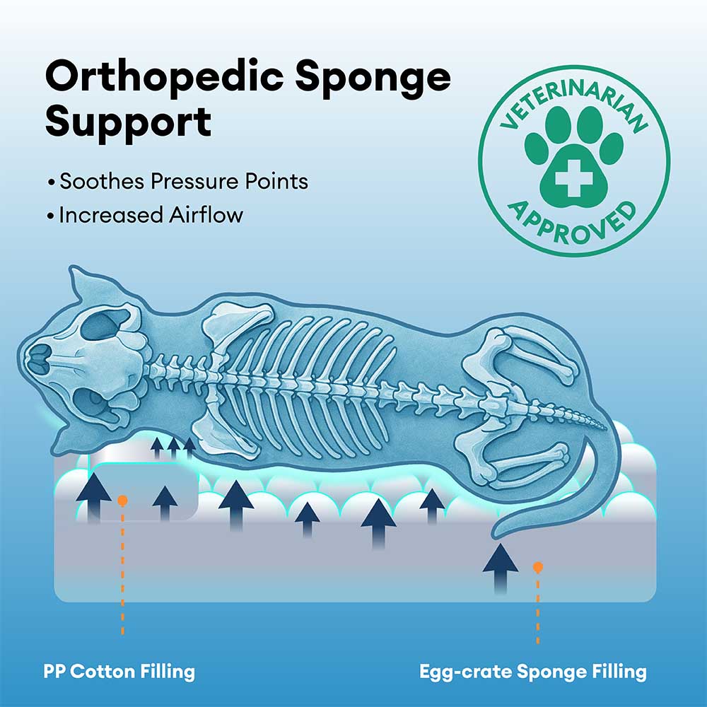 Soft puppy calming bed, anti-anxiety deep sleep, excellent orthopedic support.
