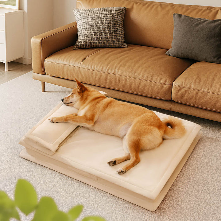 Relaxing deep sleep dog bed, orthopedic support, designed for anxiety relief and comfort.