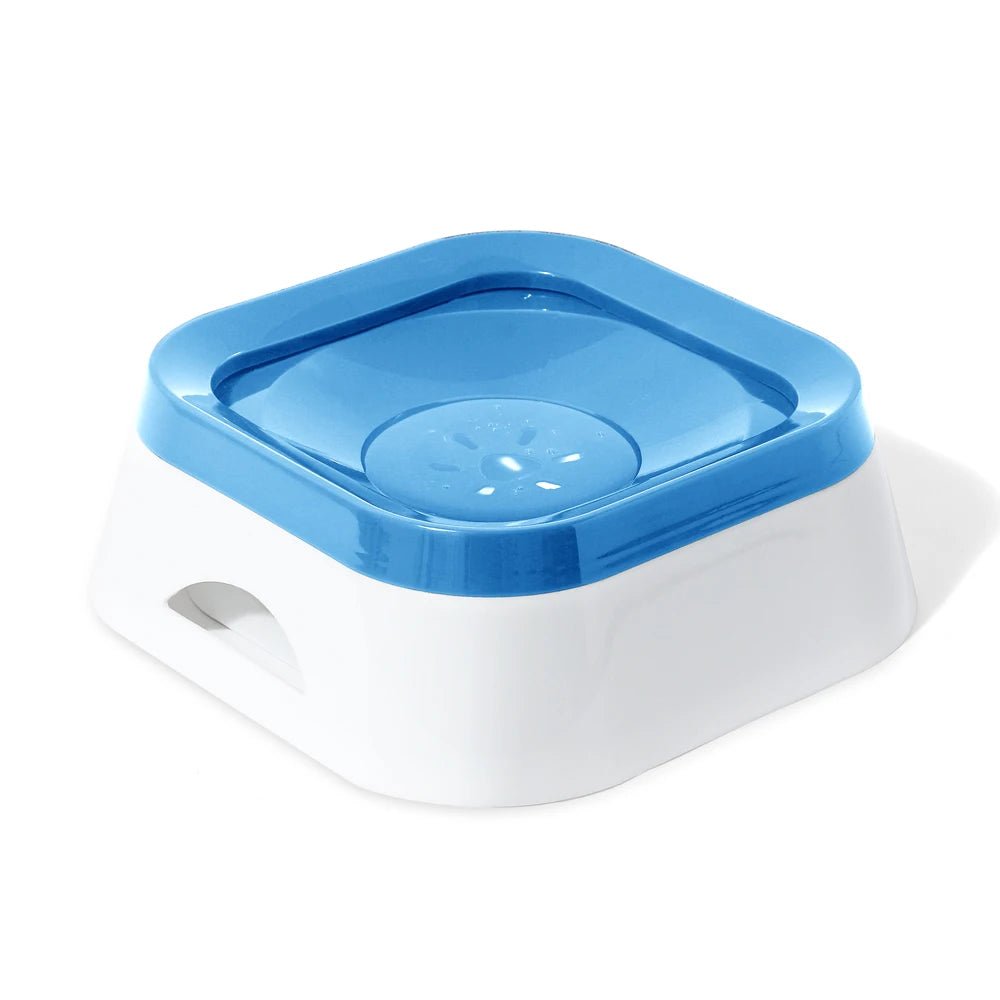 Anti-leak dog drinking bowl with slow feeder insert, ideal for pet hydration and mess-free travel.