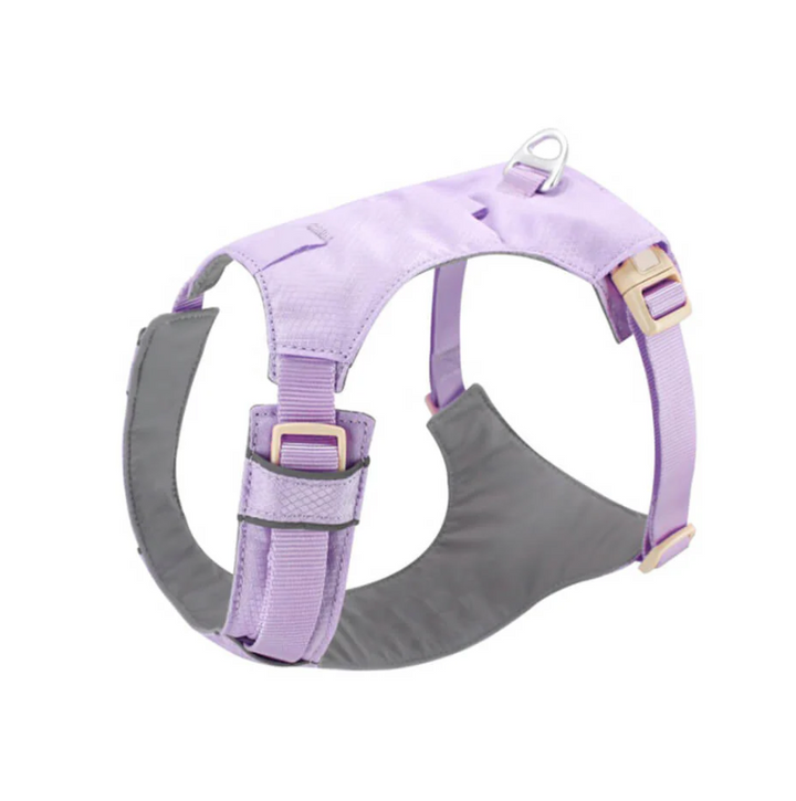 Anti-pull dog harness with adjustable leash, black, for stress-free walking