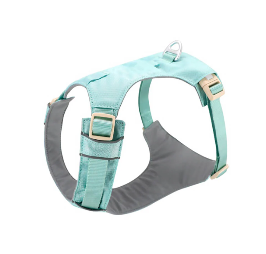 Adjustable dog harness for large dogs with matching leash, black, front view