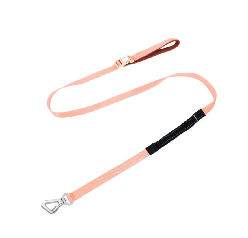 Reflective dog harness with adjustable leash, ensuring pet visibility at night