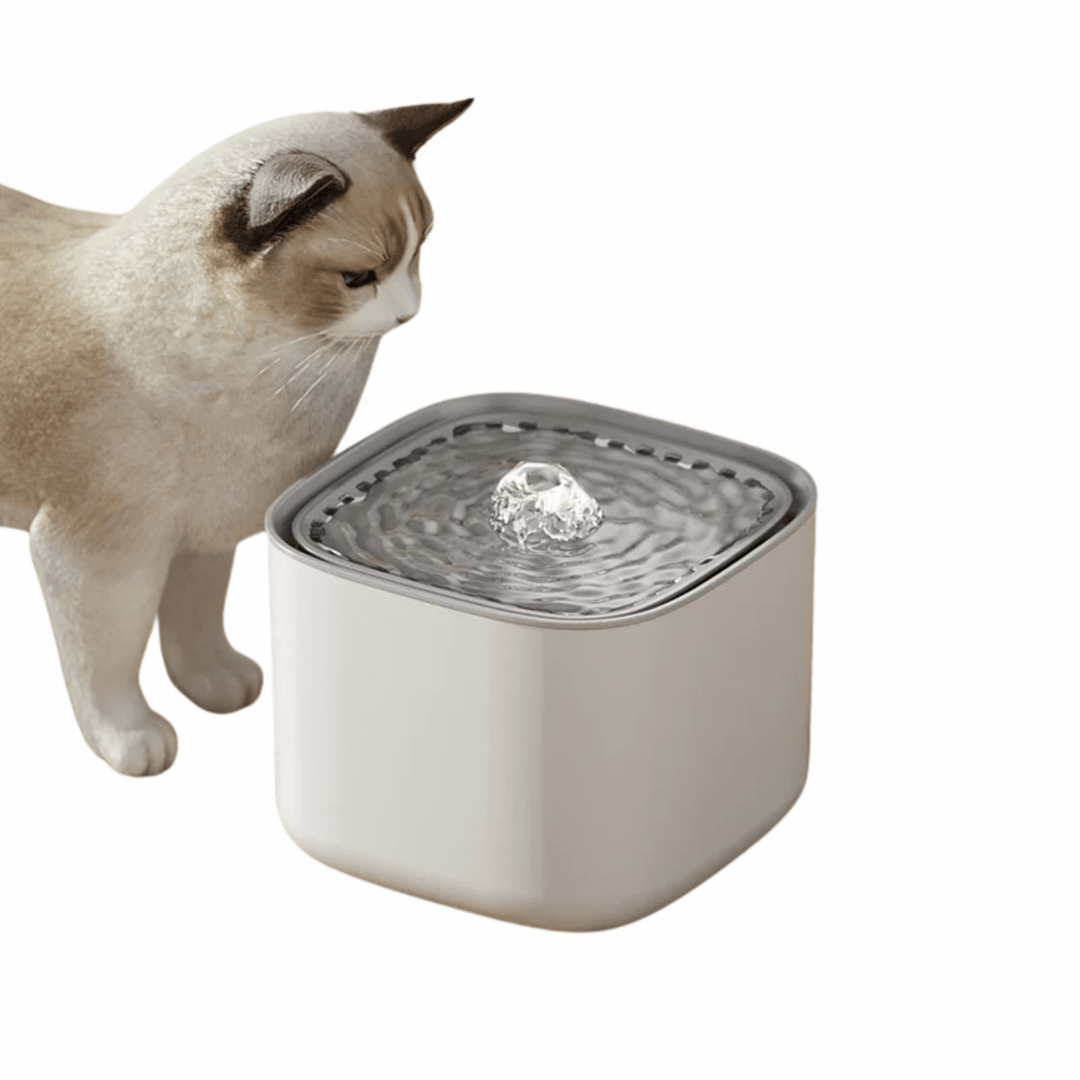 Automatic 3L pet water fountain with multi-layer filtration for cats and dogs, ensuring fresh hydration.