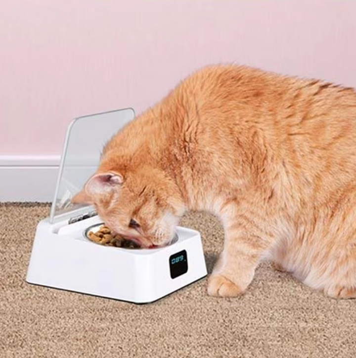 Automatic cat food dispenser with digital display, gray, for pet care