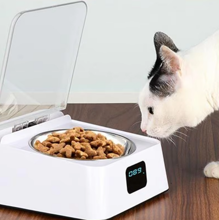 Top-down view of automatic cat food dispenser, gray, with accessible food tray
