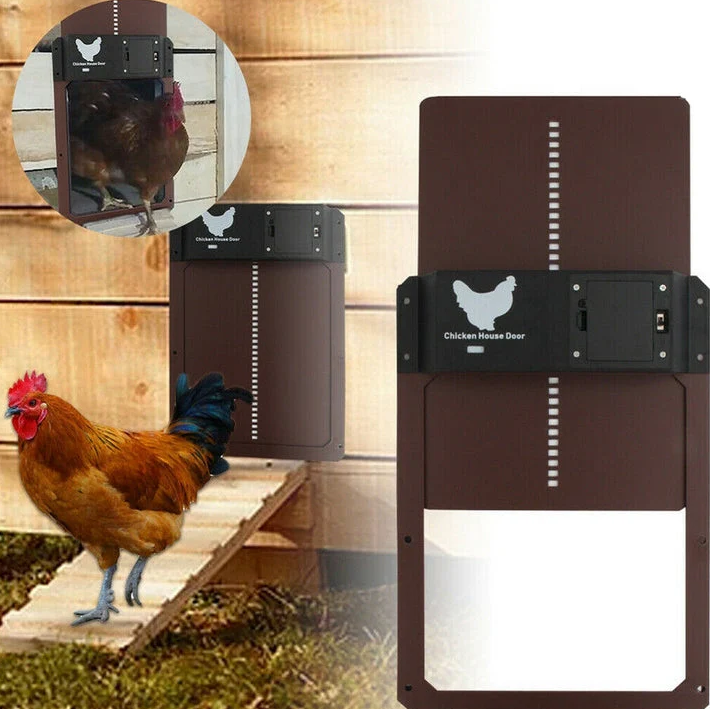 Green automatic chicken coop door system, essential farm equipment for chickens