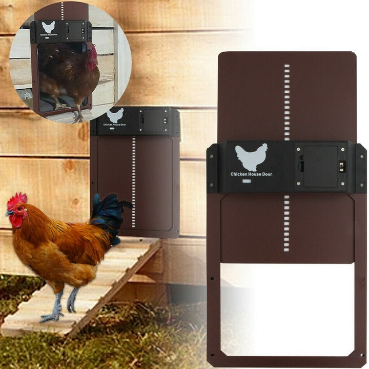 Easy-install chicken coop door with light sensor, offering predator protection for flock care