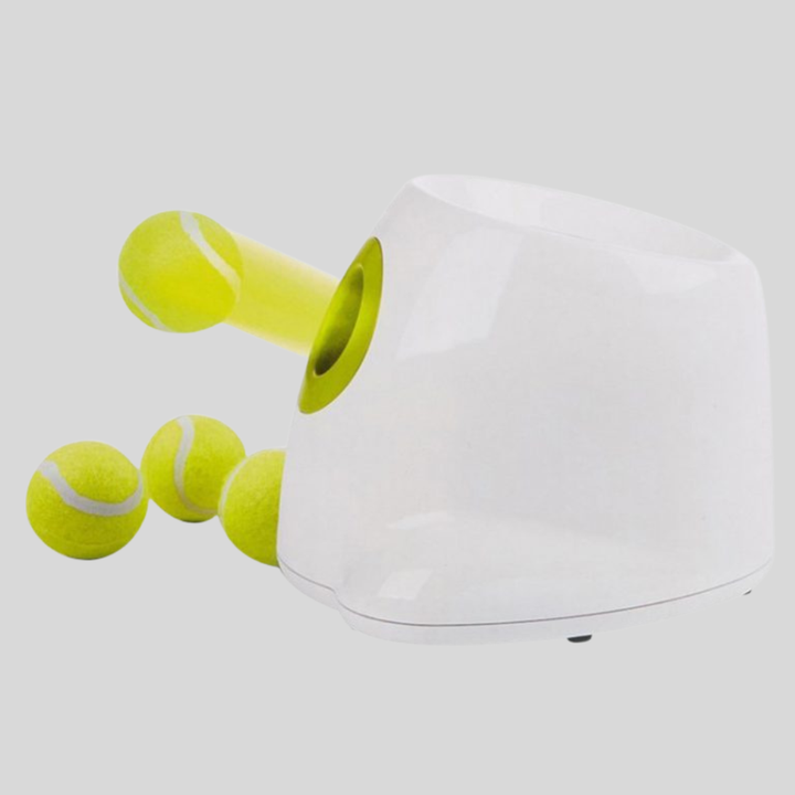 Smart automatic ball launcher for dogs, perfect for solo play, exercise, and training sessions.