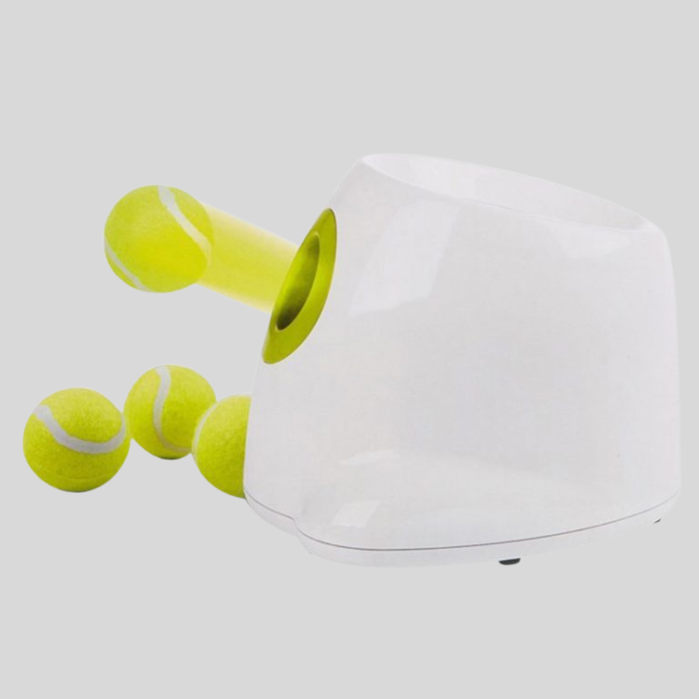 New4 automatic dog ball launcher for fetch, shown with a happy dog, pet supplies for active dogs