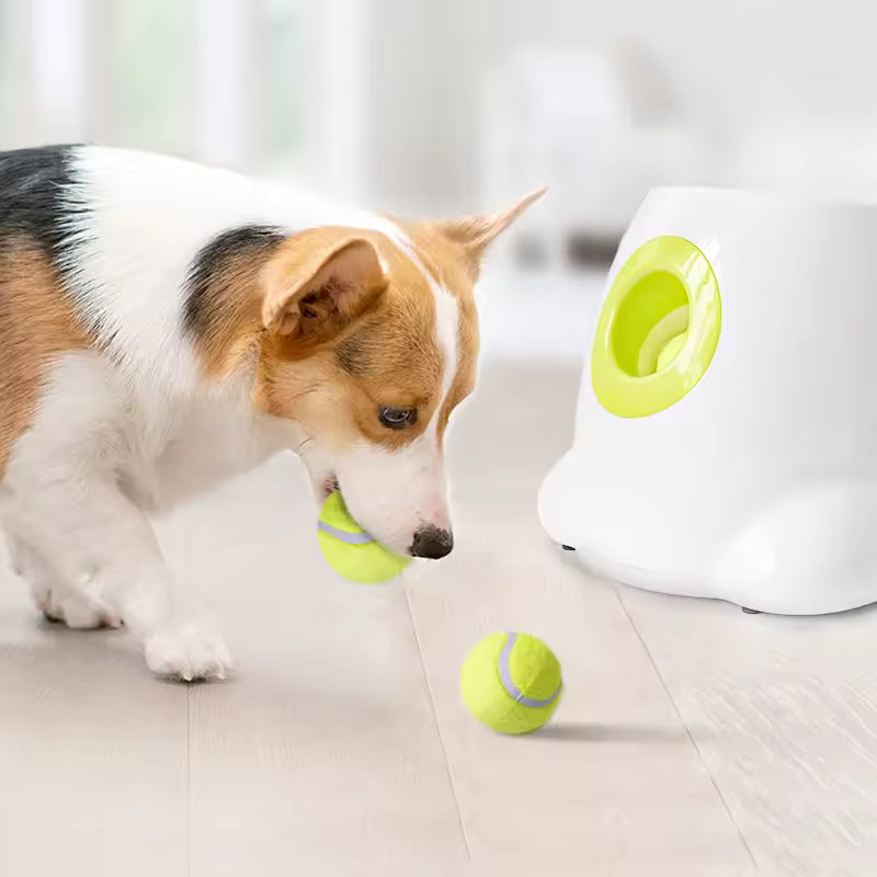 Small dog auto fetch machine, white and blue puppy toy for pet exercise