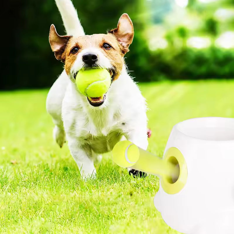 Unisex dog ball launcher in action, throwing a ball for a small dog to play fetch