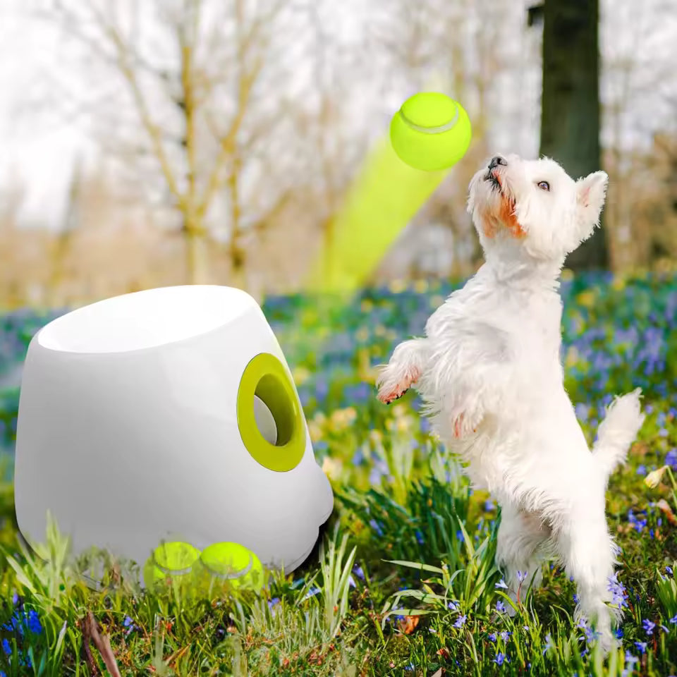 Compact automatic pet ball thrower, perfect for small dogs and indoor play