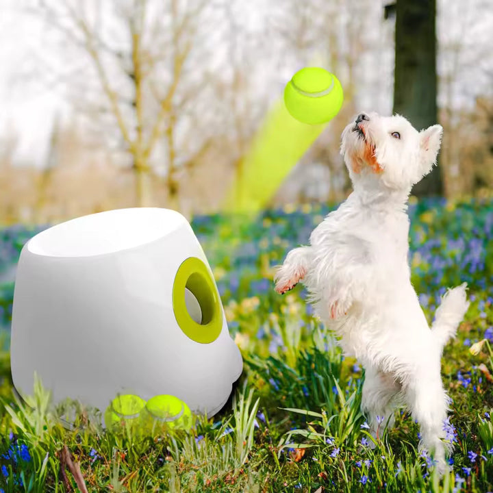 Compact automatic pet ball thrower, perfect for small dogs and indoor play