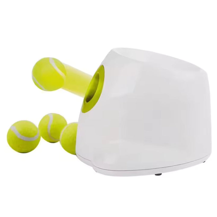 Interactive dog toy, automatic ball launcher designed for small breeds and puppies