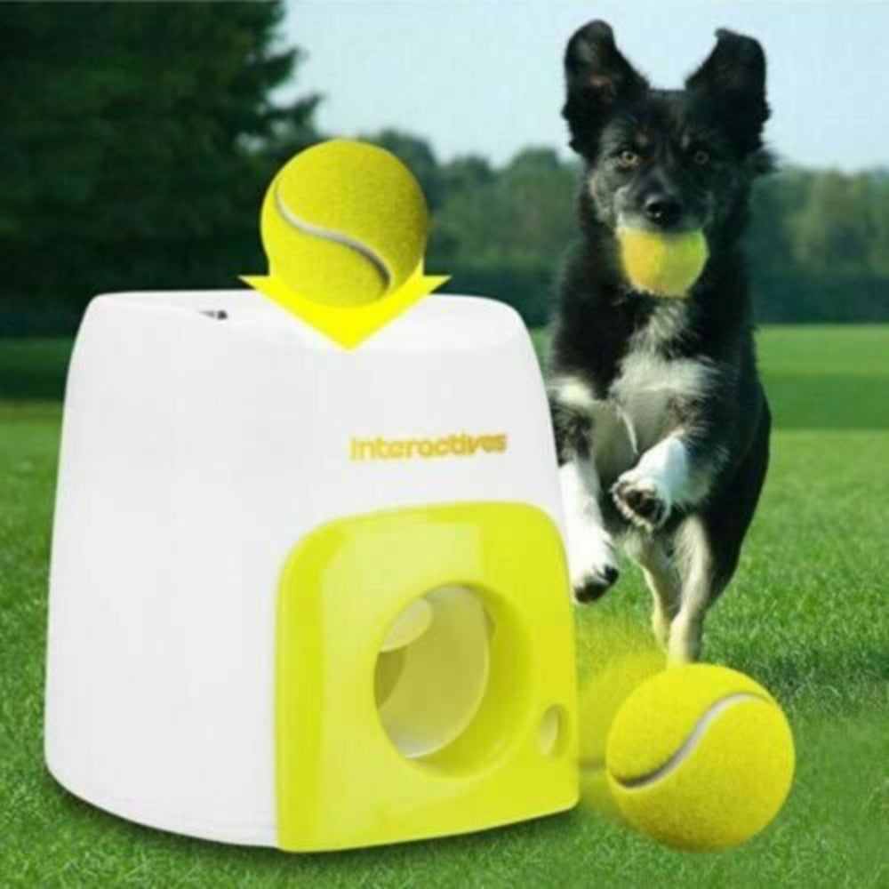 Interactive pet toy: automatic dog ball launcher & treat dispenser for exercise.