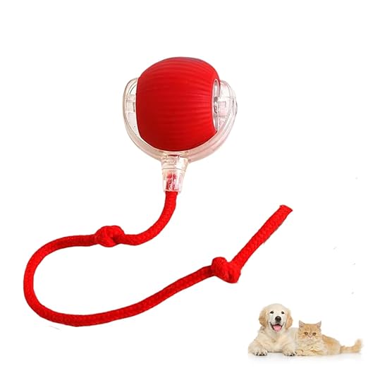 Automatic dog walker for indoor pet exercise with USB-C charging, showing a small dog walking on treadmill.