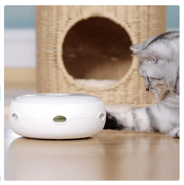 Rainbow feather automatic cat toy, stimulating pet supplies for interactive play and kitten exercise.