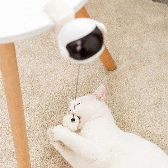 Automatic interactive cat toy with spinning feather, engaging feline in active playtime