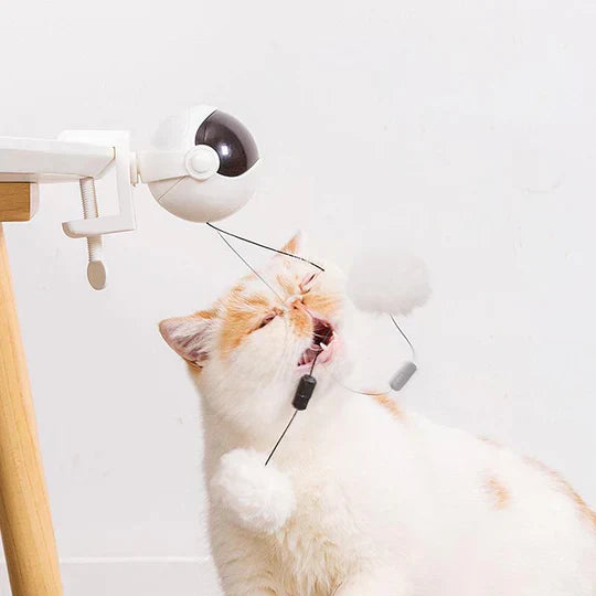 Cat enrichment toy: automatic spinner with dangling prey, keeping "cat name" entertained