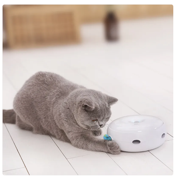 Rechargeable automatic cat toy featuring a vibrant rainbow feather, promoting indoor cat play.