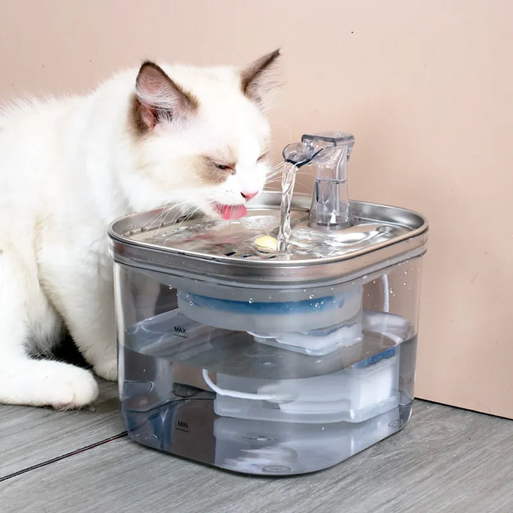 Automatic pet drinking fountain with filtration, stainless steel for cats & dogs.
