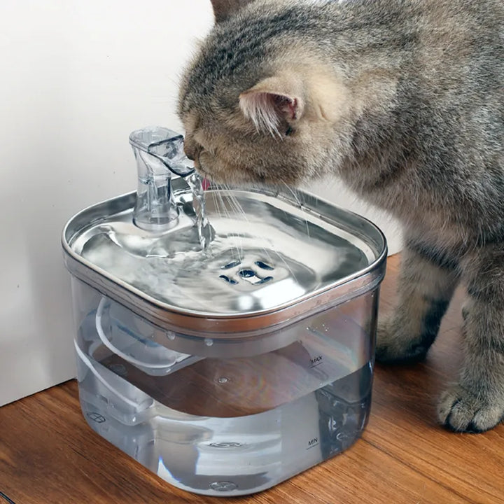Packaging of the automatic pet drinking fountain, ready for setup & pet hydration.