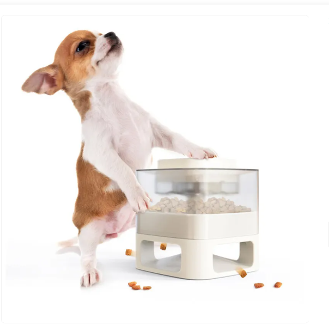 Automatic pet food dispenser with stainless steel bowl, hygienic feeding, easy clean
