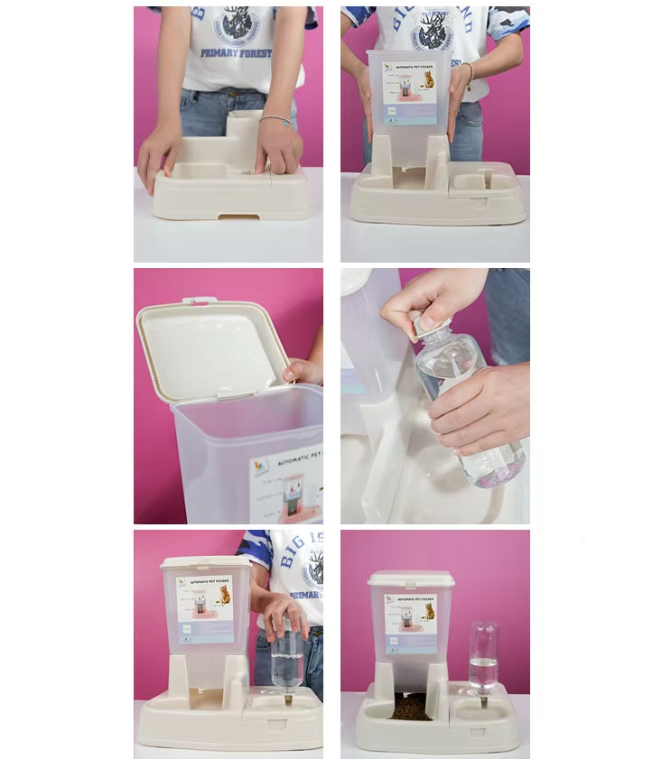 Large capacity automatic pet food and water dispenser with two bowls for convenient feeding