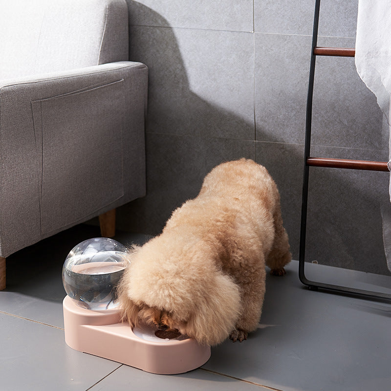 Two-in-one pet feeding station with integrated water dispenser and food bowl for cats and dogs