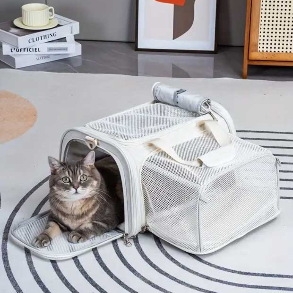 Black cabin airline pet carrier, expandable travel bag for small pets, dog or cat