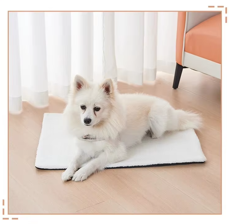 Beige self-warming pet blanket for cats and dogs, soft and washable pet bed comfort