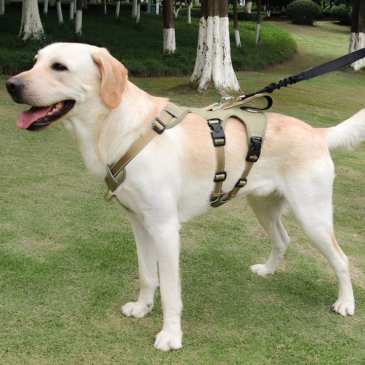 Black adjustable dog training harness with reflective strips, perfect for safe dog walking and control.