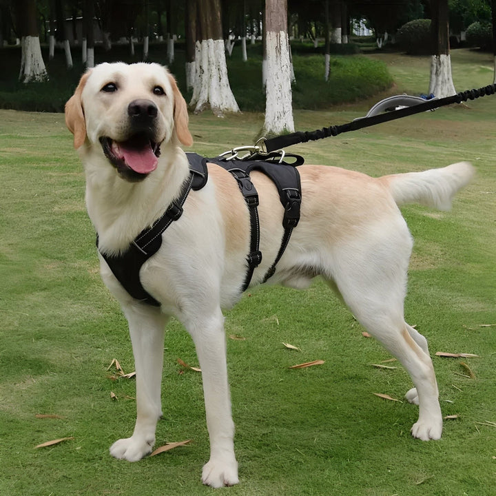 Reflective dog walking harness designed for optimal control and comfort during training sessions.