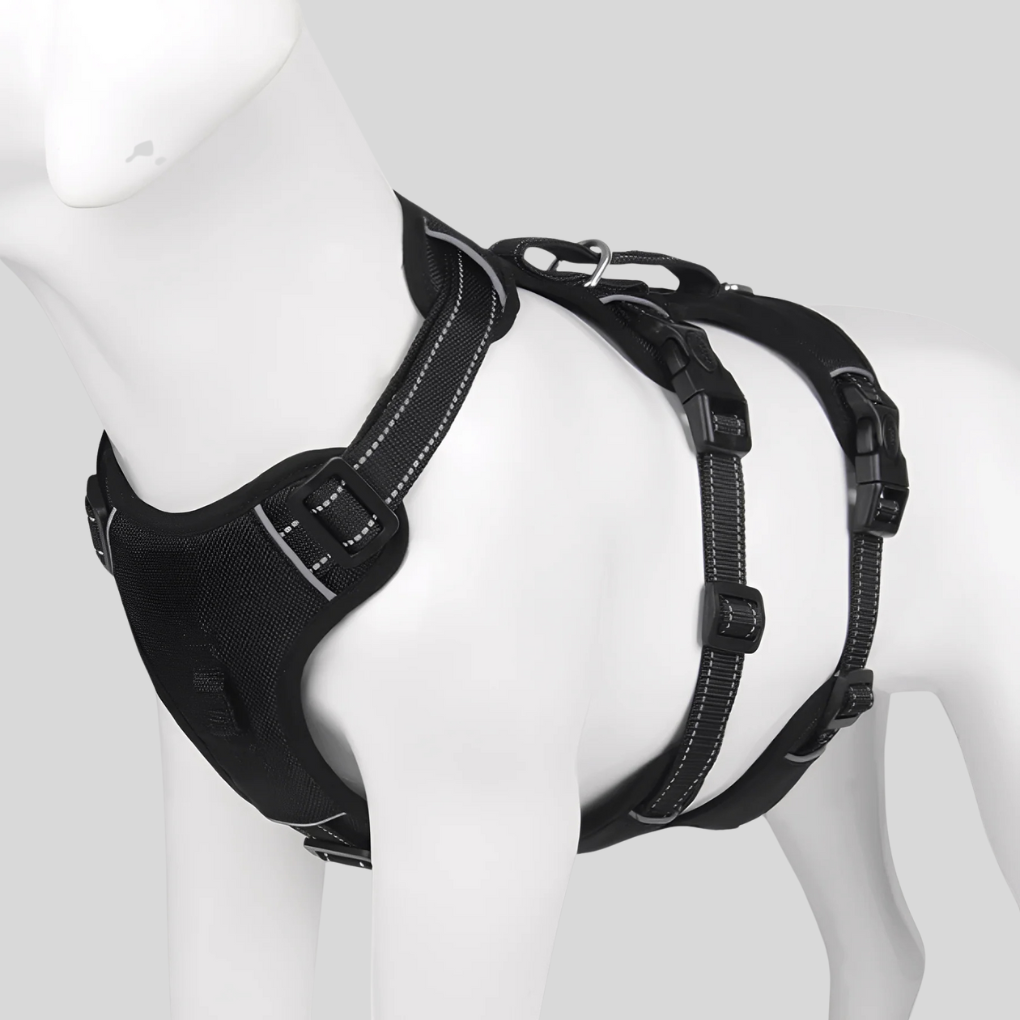 New4 dog training harness in black, providing secure fit and enhanced visibility for canine adventures.
