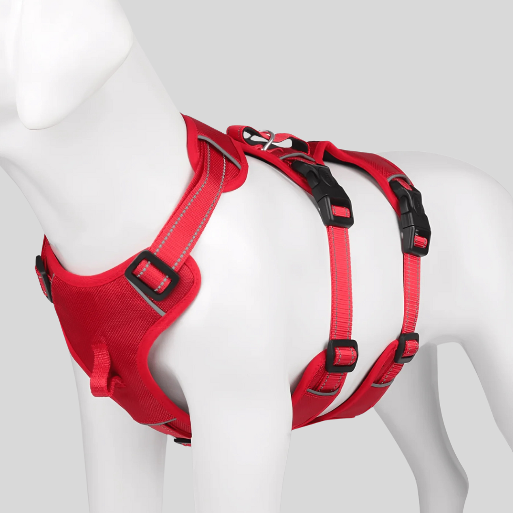 Outdoor dog gear: an adjustable and reflective harness for effective training and walking, ensuring pet safety.
