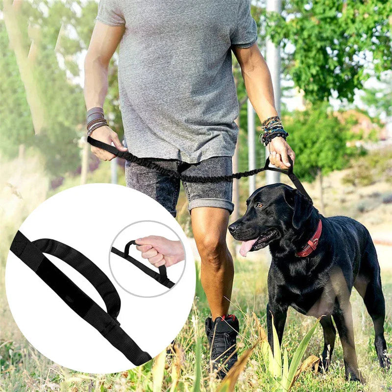 Close-up of the rugged metal clasp on an adjustable military dog training leash for secure attachment.