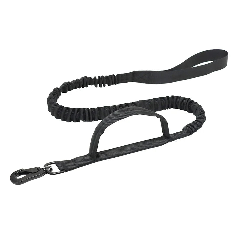 Dog owner holding an adjustable black dog leash, ready for a training session or outdoor walk.